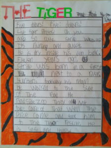 tigers writing prompt, sample story