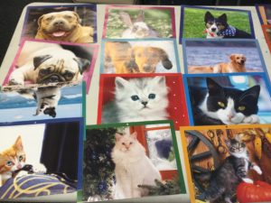 pet pictures to go along with the persuasive letter