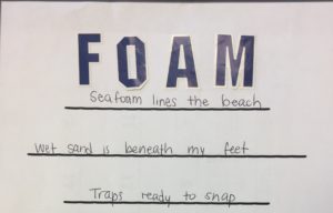 A haiku poem about sea foam