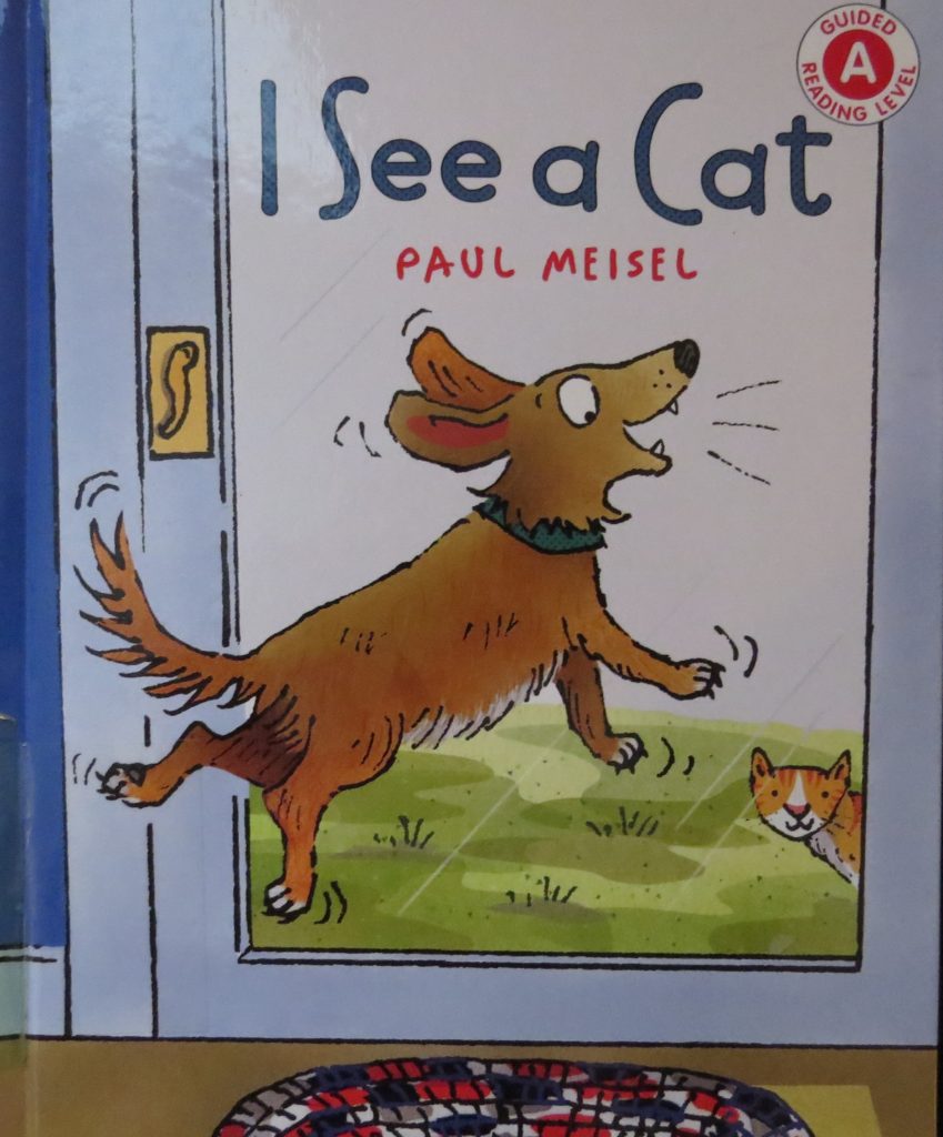 Book titled, I See A Cat