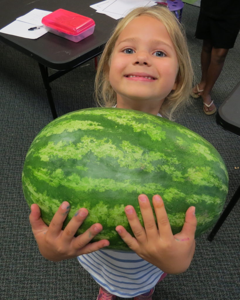 A girl holding a watermelon, 5 minute writing activity
