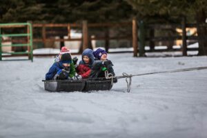 Kids sledding on snow