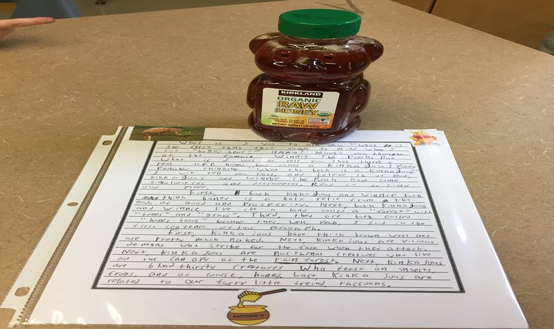 A jar of honey next to a student's essay, kinkajou writing prompt