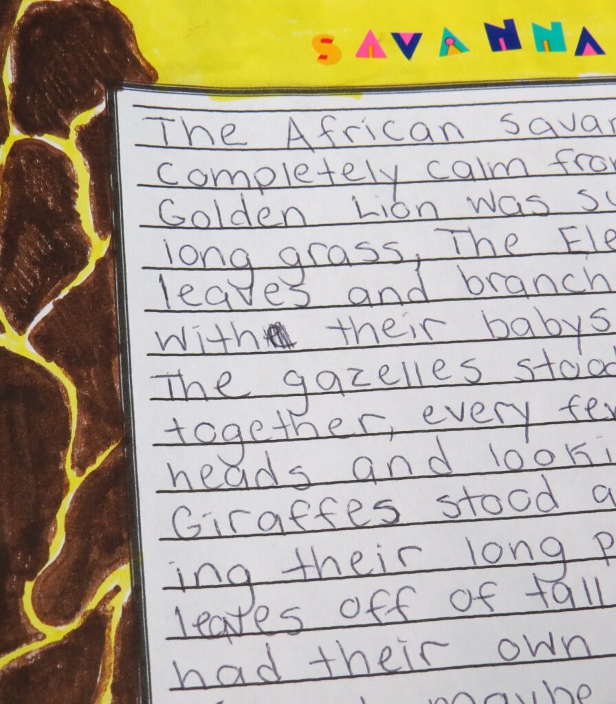 The African Savanna, one student's writing